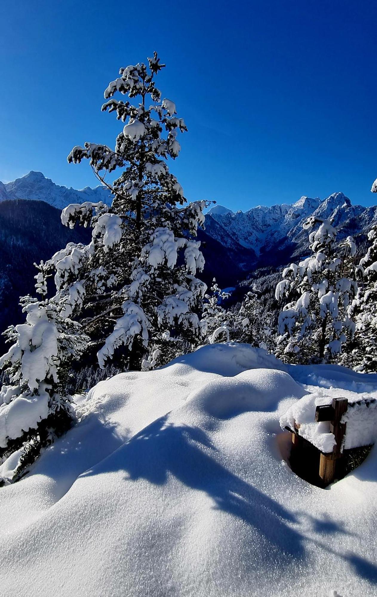 Holiday Chalet "Alpine Dreams" With Private Wellness Solcava Exterior photo
