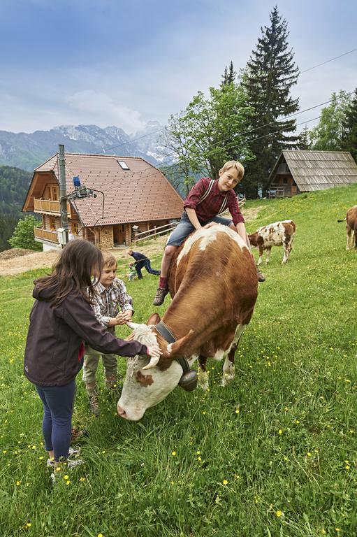 Holiday Chalet "Alpine Dreams" With Private Wellness Solcava Room photo