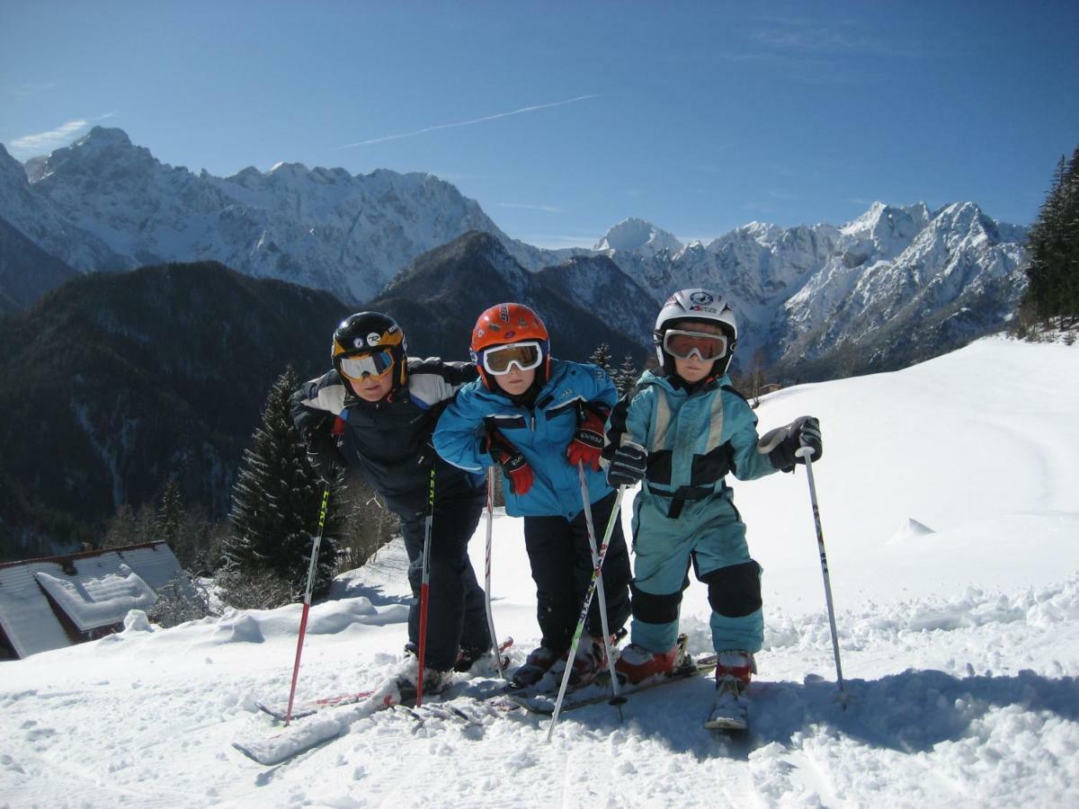 Holiday Chalet "Alpine Dreams" With Private Wellness Solcava Exterior photo